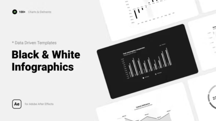 Videohive Black & White Infographics Free