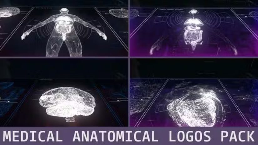 Videohive Medical Anatomical Logos Pack -