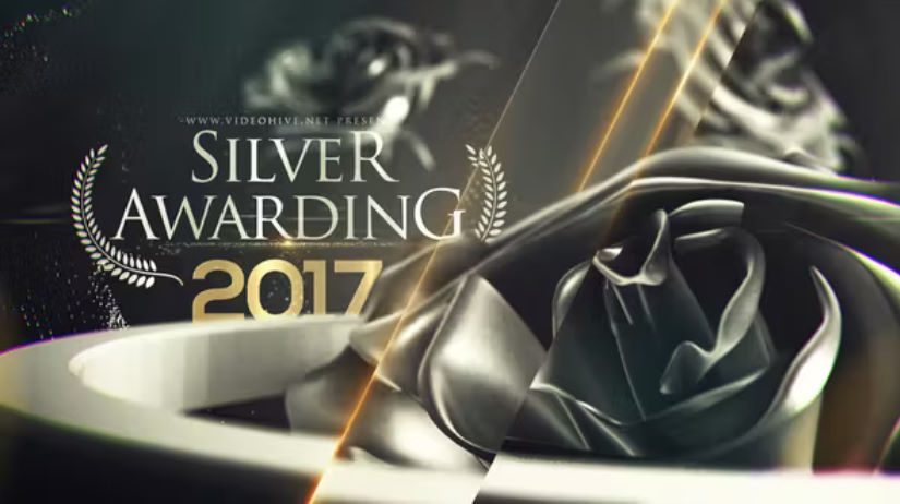 Videohive Silver Awarding Pack -