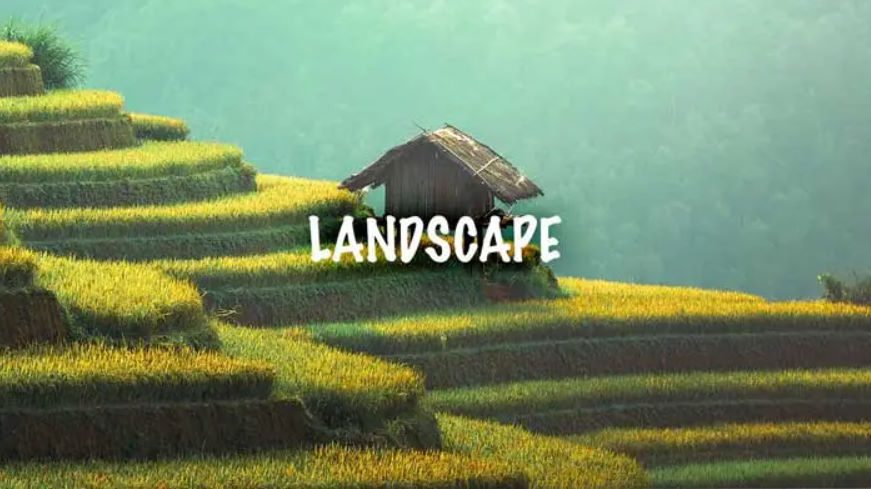 Psdbox Landscape Creative LUT Presets