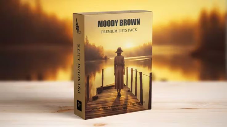 Videohive Cinematic Moody Brown Bohemian Wedding Video Luts Free