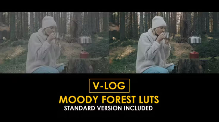 Videohive V-Log Moody Forest and Standard LUTs Free