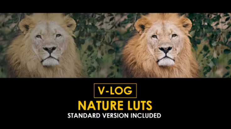 Videohive V-Log Nature and Standard LUTs Free