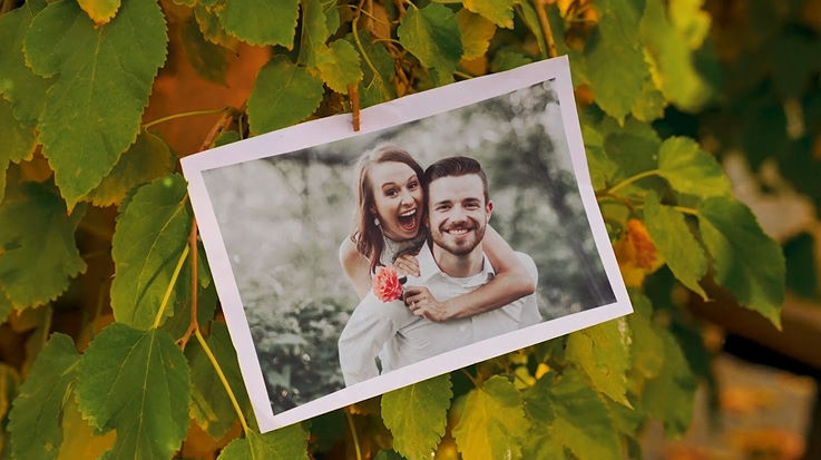 Videohive Wedding Photo Gallery -Autumn evening Garden Free